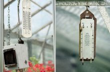 Оптимальная температура в теплице – показатели и способы регулирования