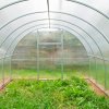 Обзор теплиц «Агросфера» из Ярцево и отличительные особенности каждой модели