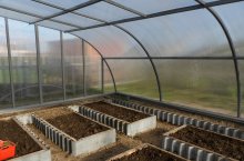 Методы и способы подготовки земли в теплице перед посадкой различных культур