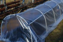 Разновидности дуг для парника и изготовление простой теплицы своими руками