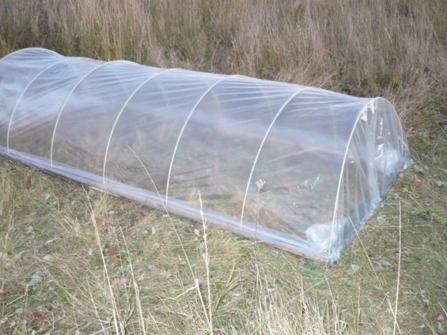 Пленочный мини-парник