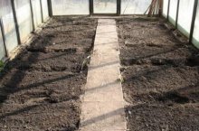 Этапы и способы обработки теплицы из поликарбоната весной – подготовка к посадкам