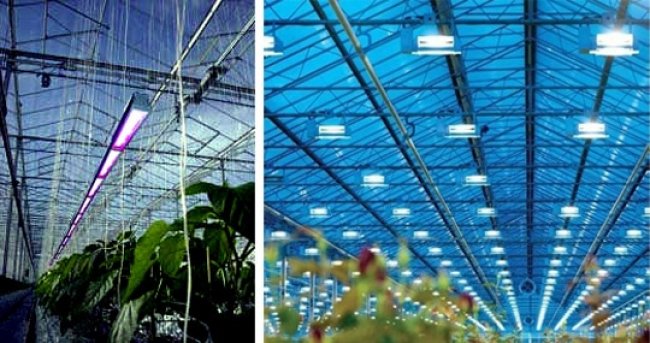 Люминисцентные лампы