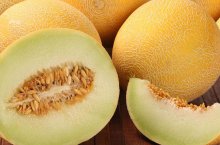 Техника выращивания дыни «колхозница» в открытом грунте и в теплицах