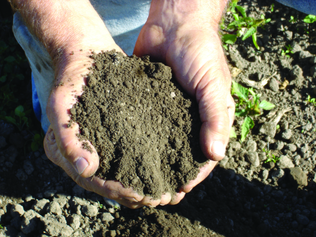 Почва влажностью до 25%