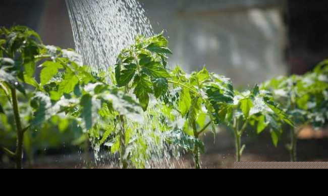 Дополнительное увлажнение