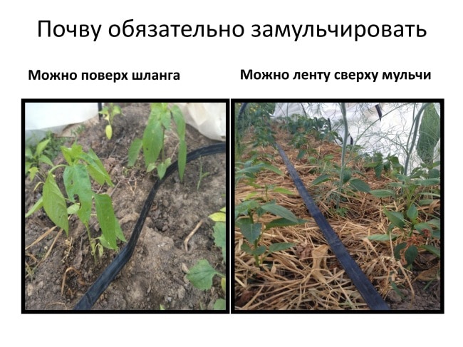 Шланг во время мульчирования