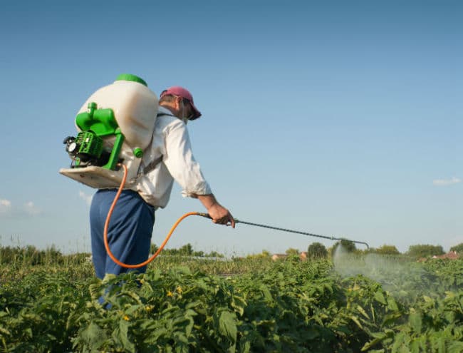 Обработка гербицидом