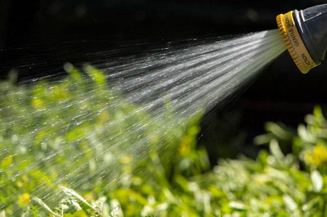 Дождевание