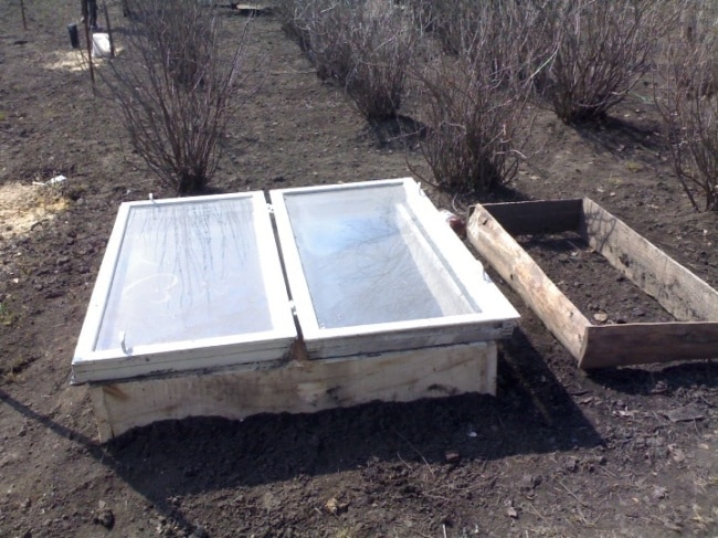 Парник из старой рамы