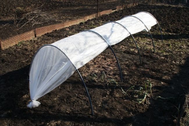 Парник-эконом