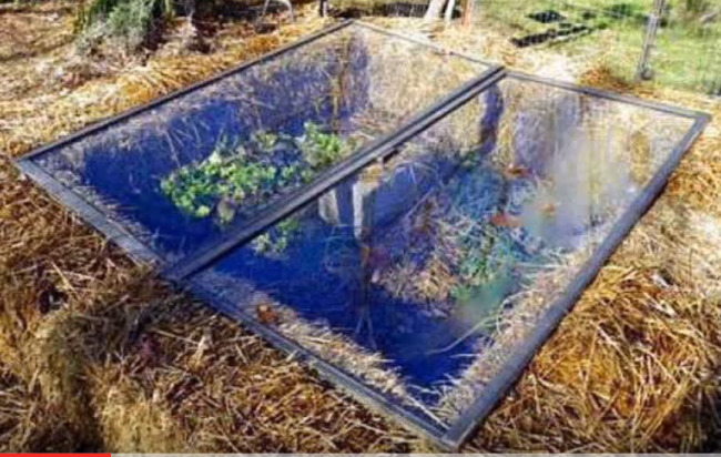 Парник в соломе