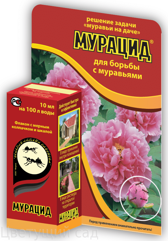 Препарат «Мурацид» – средство от муравьев