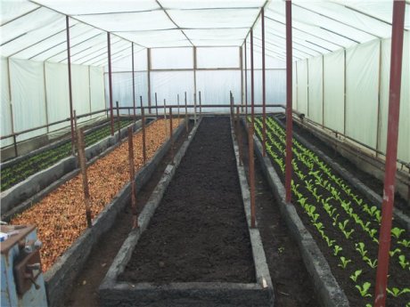 Зимние грядки