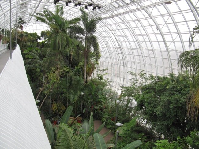 Большая теплица