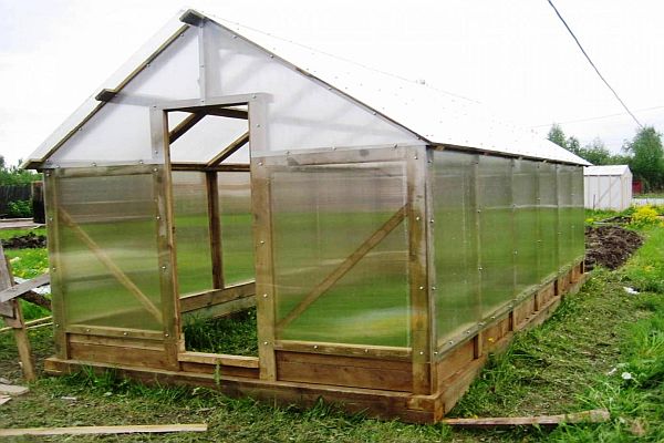 Теплица из дерева и поликарбоната