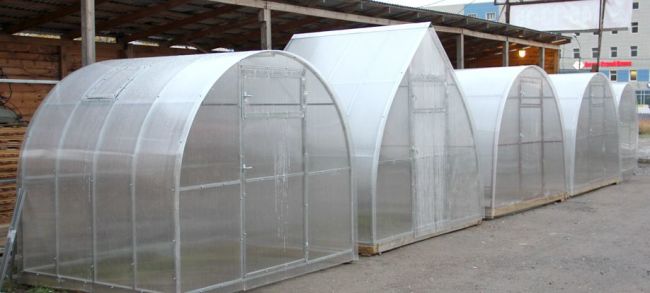 Многообразие форм