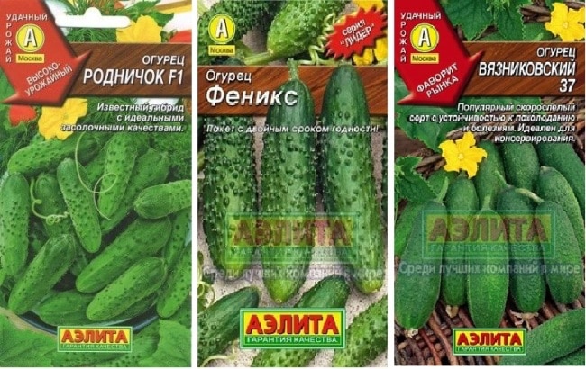 Гибридные сорта