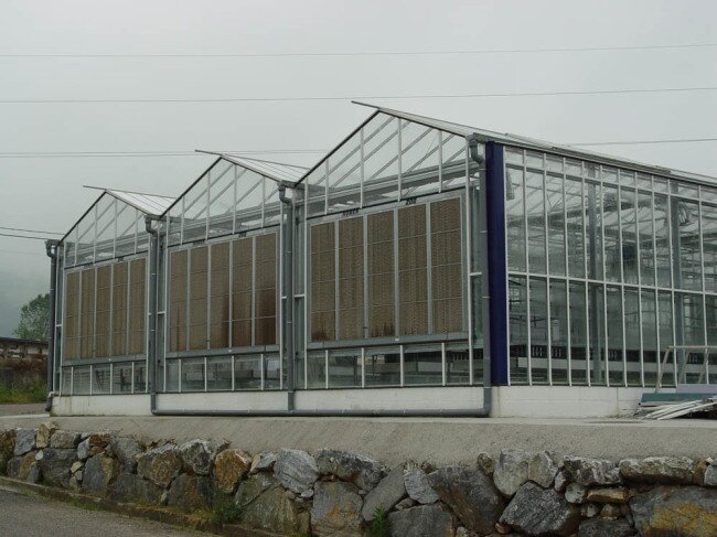 Голландская теплица