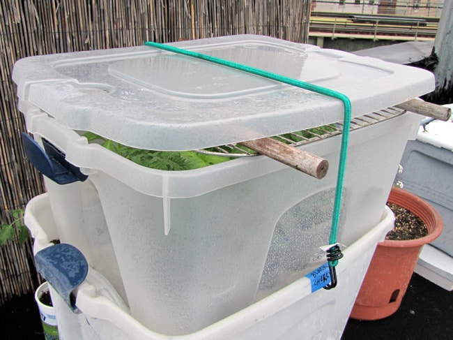 Парник из коробки