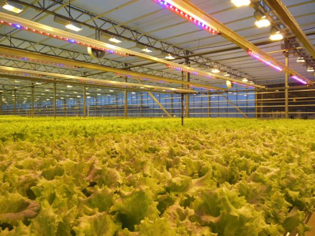 Комбинированное освещение