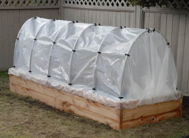 Парник для рассады
