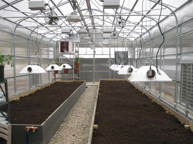 Готовые грядки