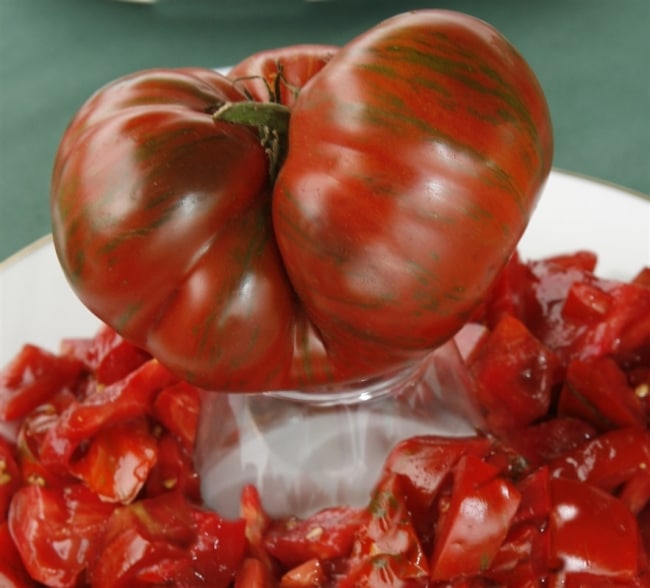 Сорт Полосатый шоколад