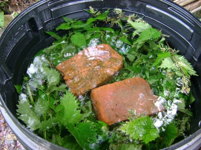 Травяной настой