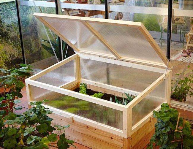 Удачный парничок