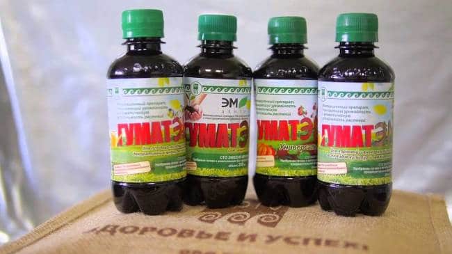 «Гумат ЭМ» 
