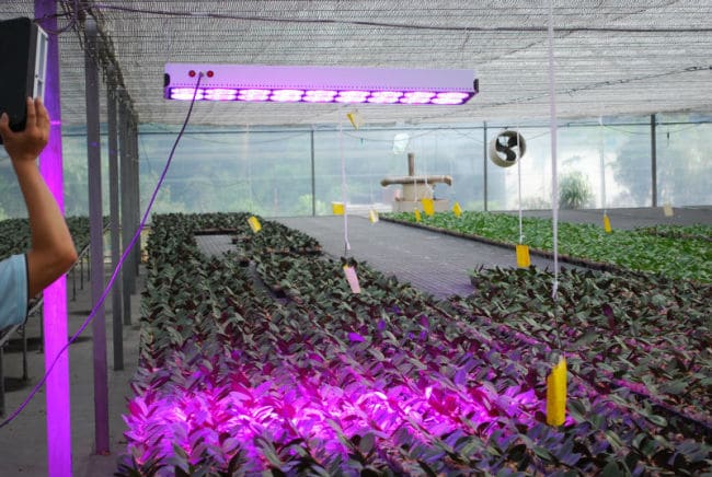 Управление светодиодными светильниками 