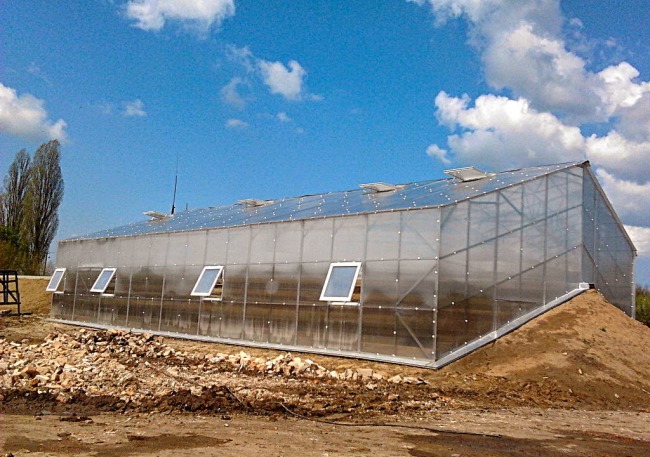 Вегетарий Иванова