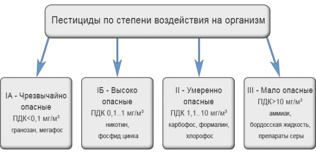 Влияние пестицидов на людей