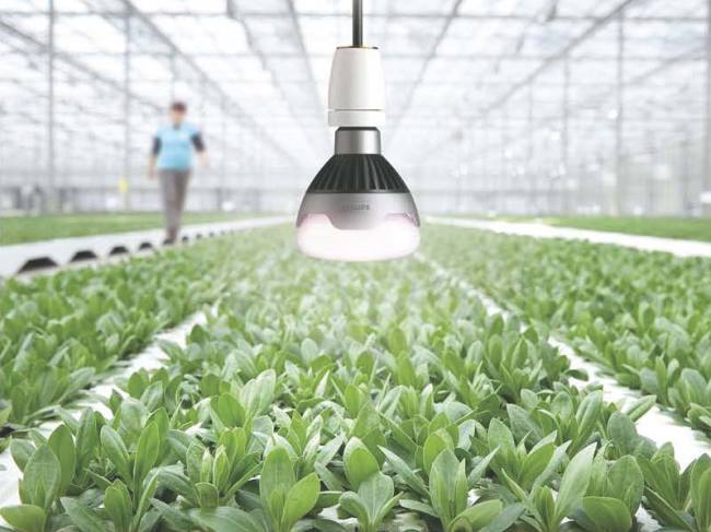 Высота подвеса